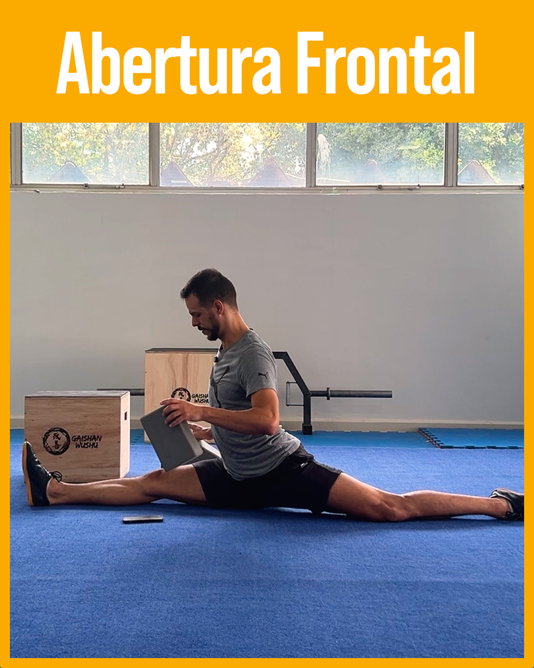 Abertura frontal_amarleo