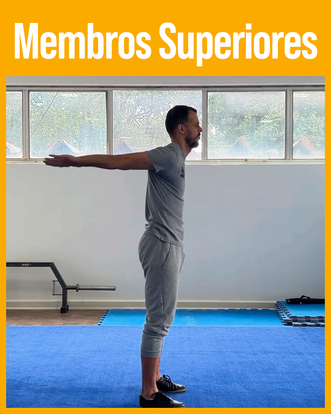 Membros superiores amarelo